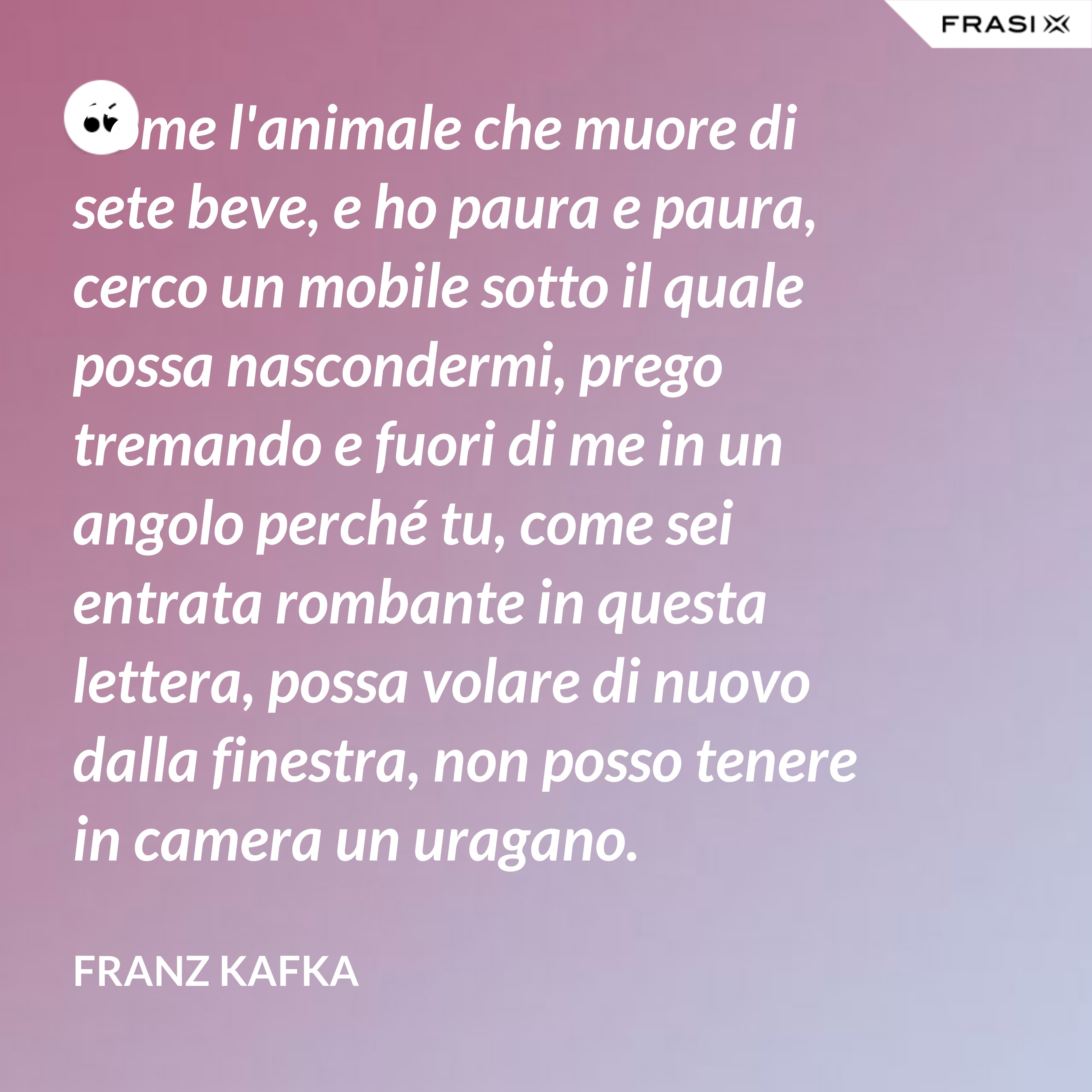 Come l'animale che muore di sete beve, e ho paura e paura, cerco un mobile sotto il quale possa nascondermi, prego tremando e fuori di me in un angolo perché tu, come sei entrata rombante in questa lettera, possa volare di nuovo dalla finestra, non posso tenere in camera un uragano. - Franz Kafka