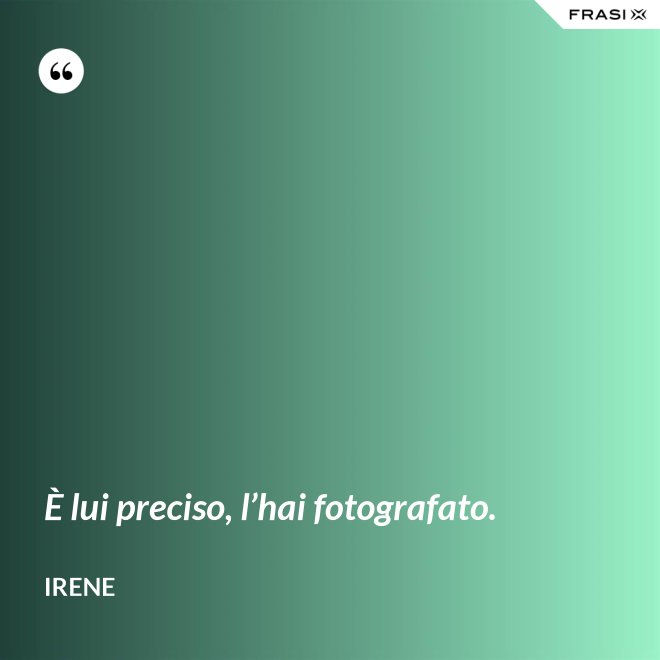 È lui preciso, l’hai fotografato. - Irene