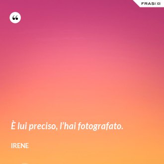 È lui preciso, l’hai fotografato. - Irene