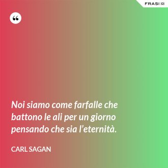 Noi siamo come farfalle che battono le ali per un giorno pensando che sia l’eternità. - Carl Sagan