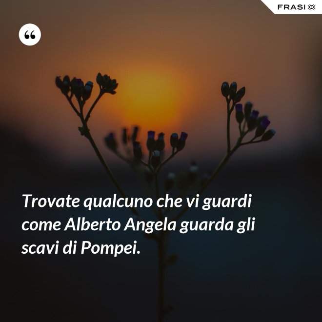 Trovate qualcuno che vi guardi come Alberto Angela guarda gli scavi di Pompei. - Anonimo