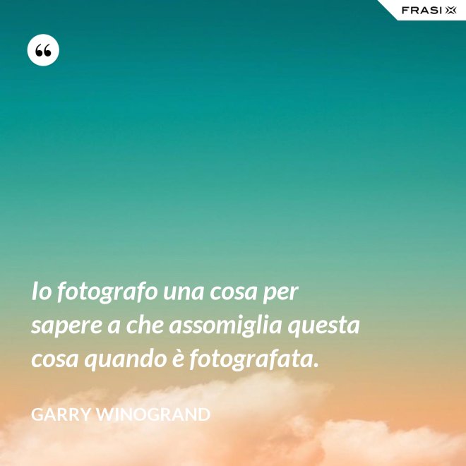 Io fotografo una cosa per sapere a che assomiglia questa cosa quando è fotografata. - Garry Winogrand