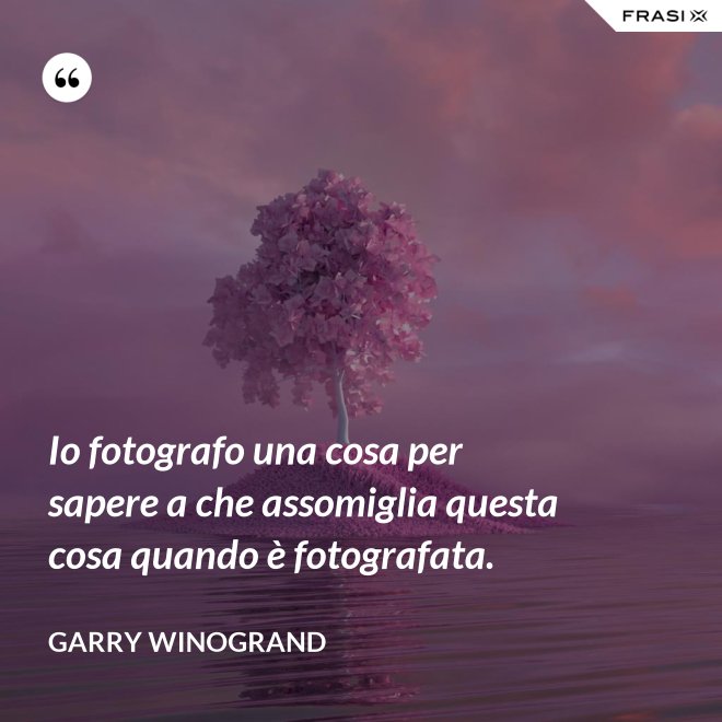 Io fotografo una cosa per sapere a che assomiglia questa cosa quando è fotografata. - Garry Winogrand