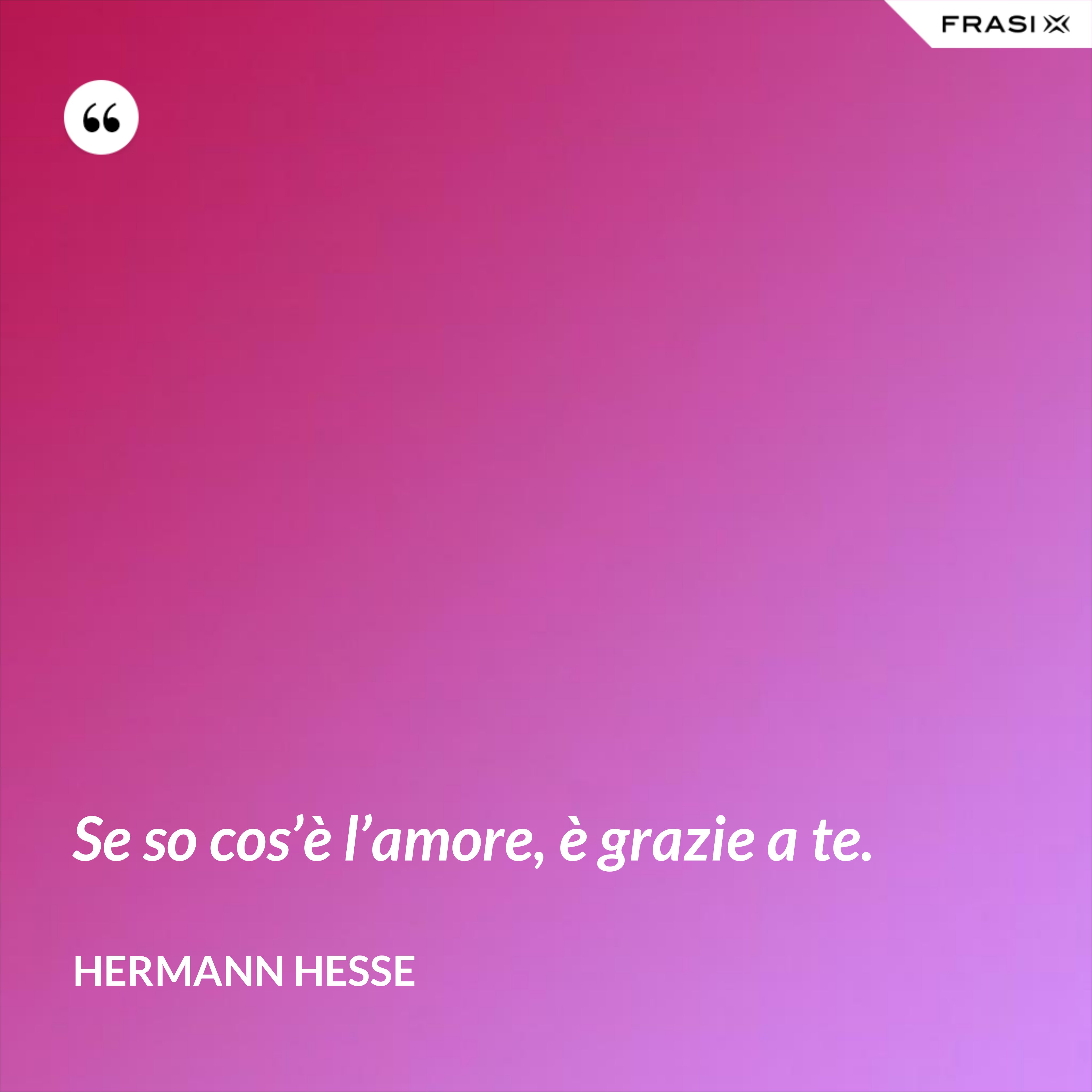 Se so cos’è l’amore, è grazie a te. - Hermann Hesse