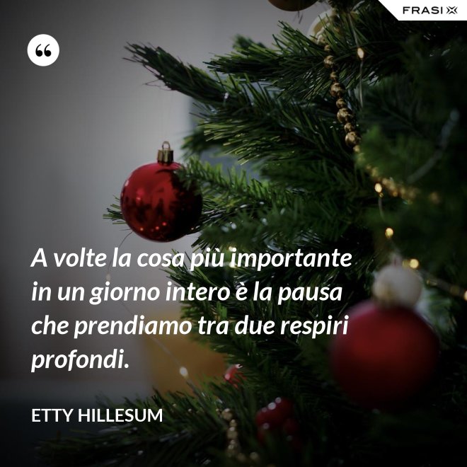 A volte la cosa più importante in un giorno intero è la pausa che prendiamo tra due respiri profondi. - Etty Hillesum