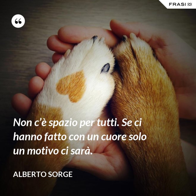 Non c’è spazio per tutti. Se ci hanno fatto con un cuore solo un motivo ci sarà. - Alberto Sorge