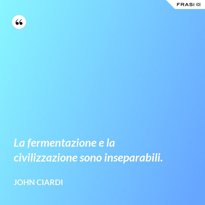 La fermentazione e la civilizzazione sono inseparabili. - John Ciardi