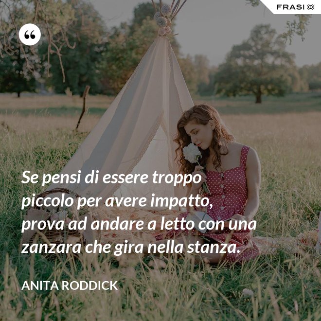 Se pensi di essere troppo piccolo per avere impatto, prova ad andare a letto con una zanzara che gira nella stanza. - Anita Roddick