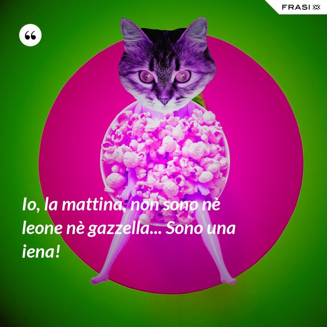 Io, la mattina, non sono nè leone nè gazzella... Sono una iena! - Anonimo
