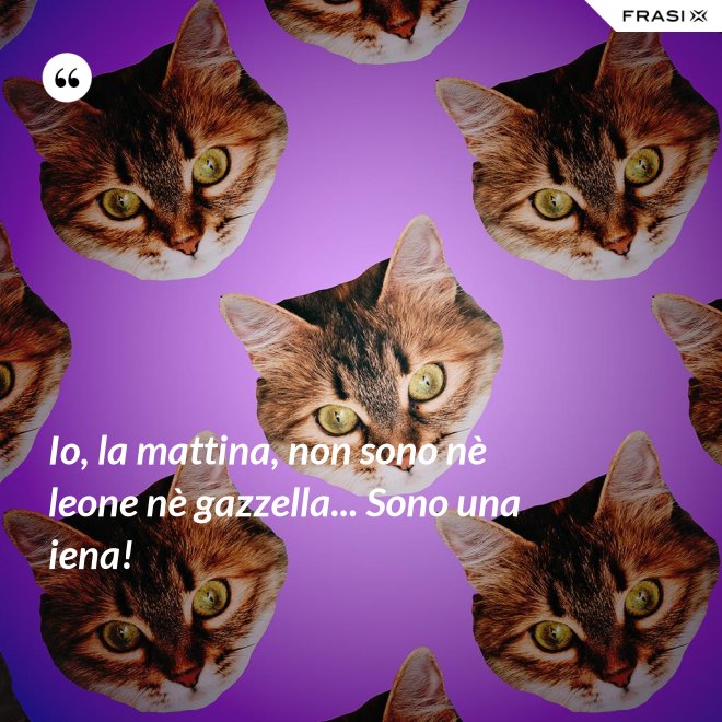 Io, la mattina, non sono nè leone nè gazzella... Sono una iena! - Anonimo