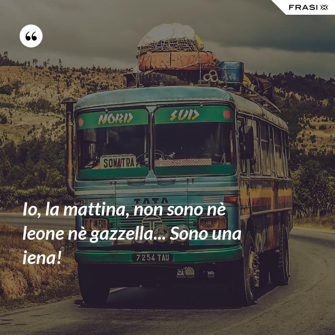 Io, la mattina, non sono nè leone nè gazzella... Sono una iena! - Anonimo