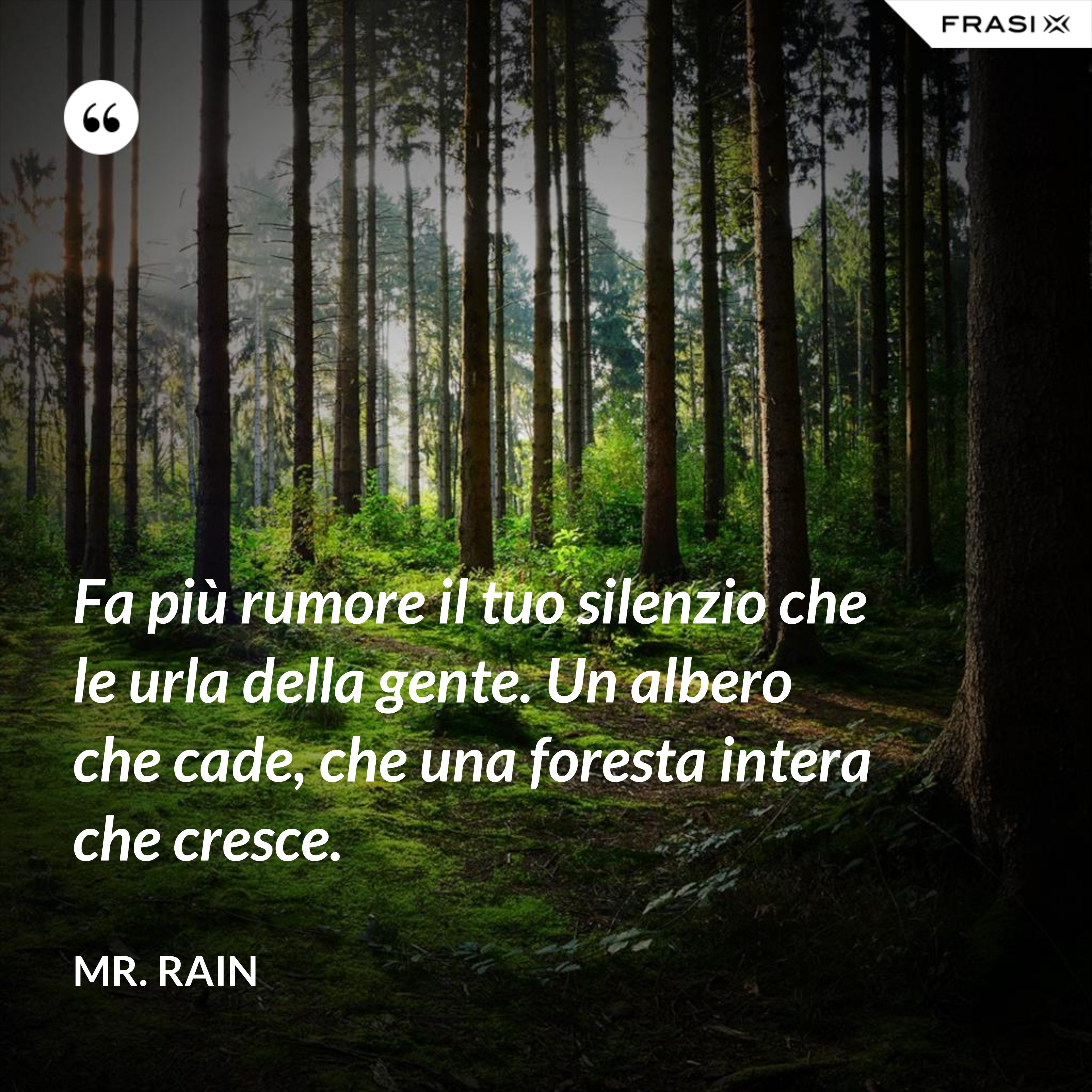 Fa più rumore il tuo silenzio che le urla della gente. Un albero che cade, che una foresta intera che cresce. - Mr. Rain