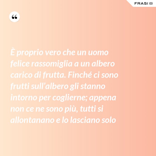 È proprio vero che un uomo felice rassomiglia a un albero carico di frutta. Finché ci sono frutti sull’albero gli stanno intorno per coglierne; appena non ce ne sono più, tutti si allontanano e lo lasciano solo - Anonimo
