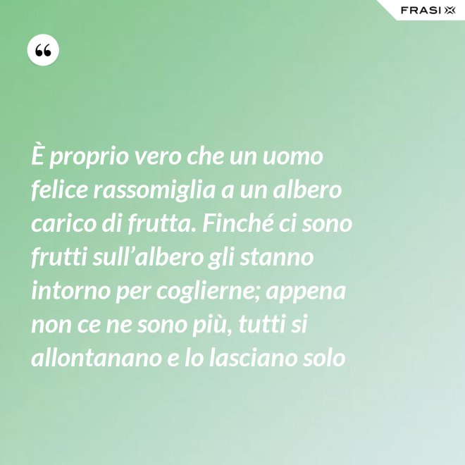 È proprio vero che un uomo felice rassomiglia a un albero carico di frutta. Finché ci sono frutti sull’albero gli stanno intorno per coglierne; appena non ce ne sono più, tutti si allontanano e lo lasciano solo - Anonimo