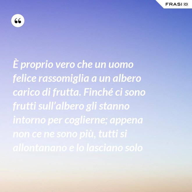 È proprio vero che un uomo felice rassomiglia a un albero carico di frutta. Finché ci sono frutti sull’albero gli stanno intorno per coglierne; appena non ce ne sono più, tutti si allontanano e lo lasciano solo - Anonimo