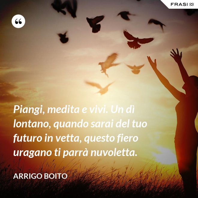Piangi, medita e vivi. Un dì lontano, quando sarai del tuo futuro in vetta, questo fiero uragano ti parrà nuvoletta. - Arrigo Boito