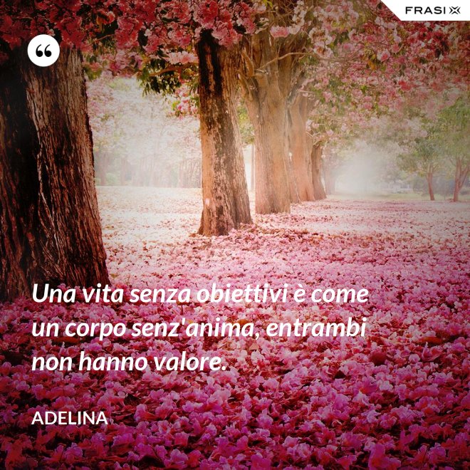Una vita senza obiettivi è come un corpo senz'anima, entrambi non hanno valore. - Adelina