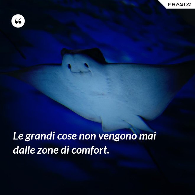 Le grandi cose non vengono mai dalle zone di comfort. - Anonimo