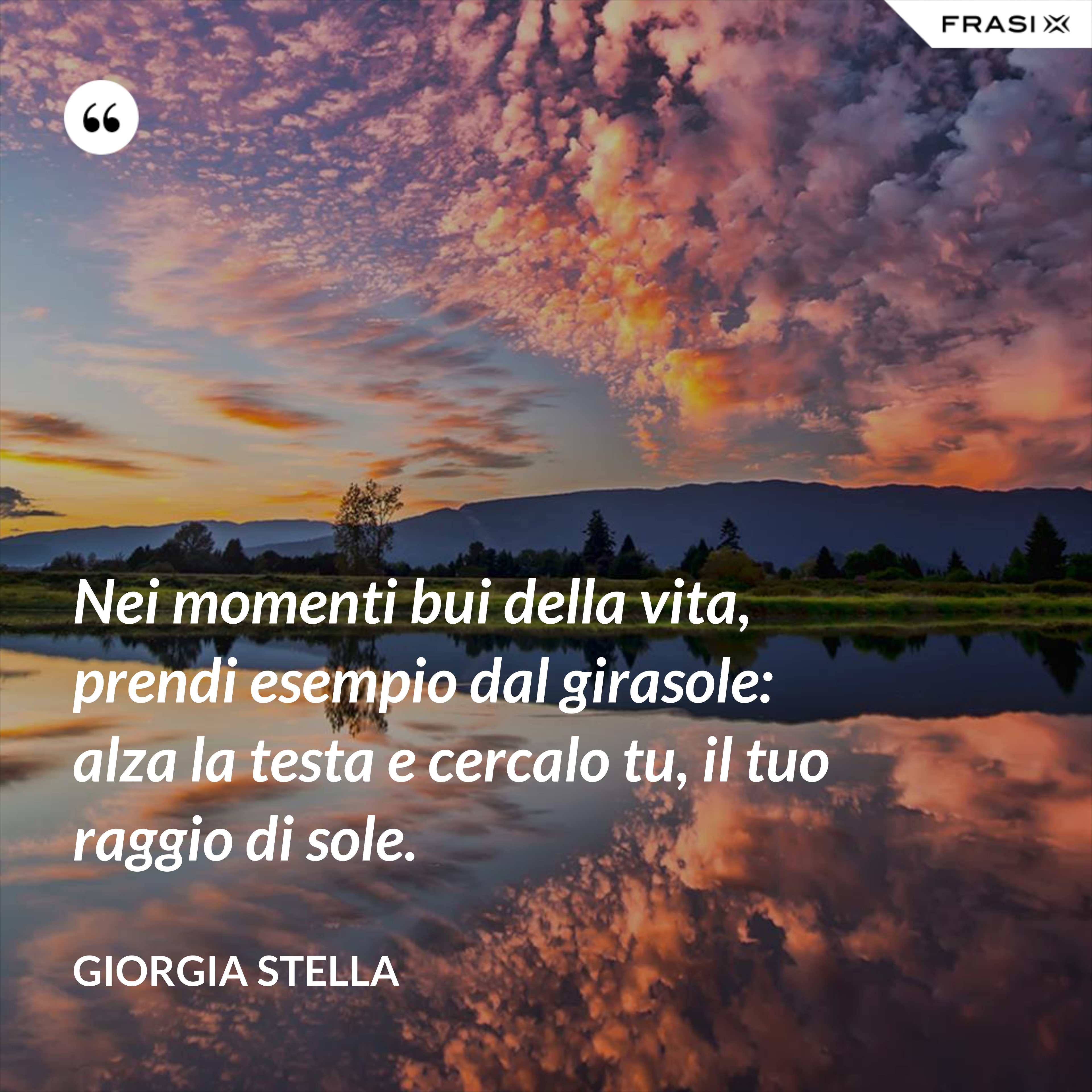Nei momenti bui della vita, prendi esempio dal girasole: alza la testa e cercalo tu, il tuo raggio di sole. - Giorgia Stella