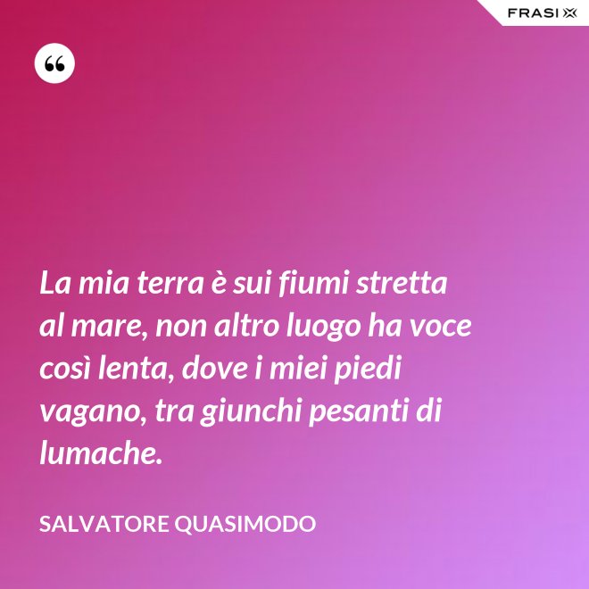 La mia terra è sui fiumi stretta al mare, non altro luogo ha voce così lenta, dove i miei piedi vagano, tra giunchi pesanti di lumache. - Salvatore Quasimodo