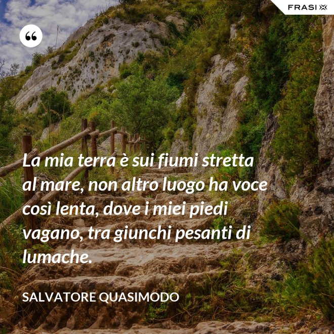La mia terra è sui fiumi stretta al mare, non altro luogo ha voce così lenta, dove i miei piedi vagano, tra giunchi pesanti di lumache. - Salvatore Quasimodo