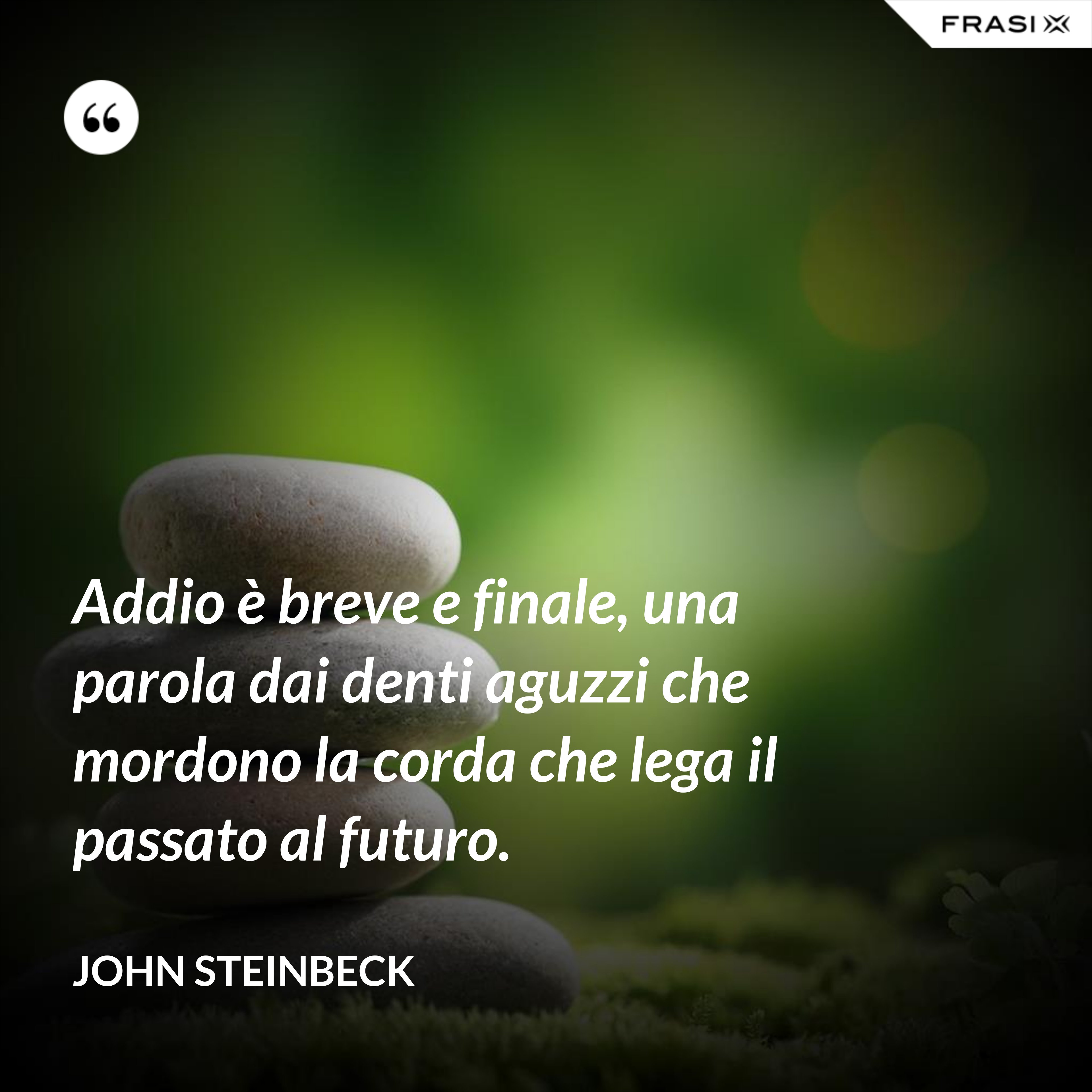 Addio è breve e finale, una parola dai denti aguzzi che mordono la corda che lega il passato al futuro. - John Steinbeck