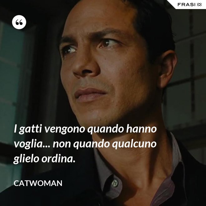 I gatti vengono quando hanno voglia... non quando qualcuno glielo ordina. - Catwoman