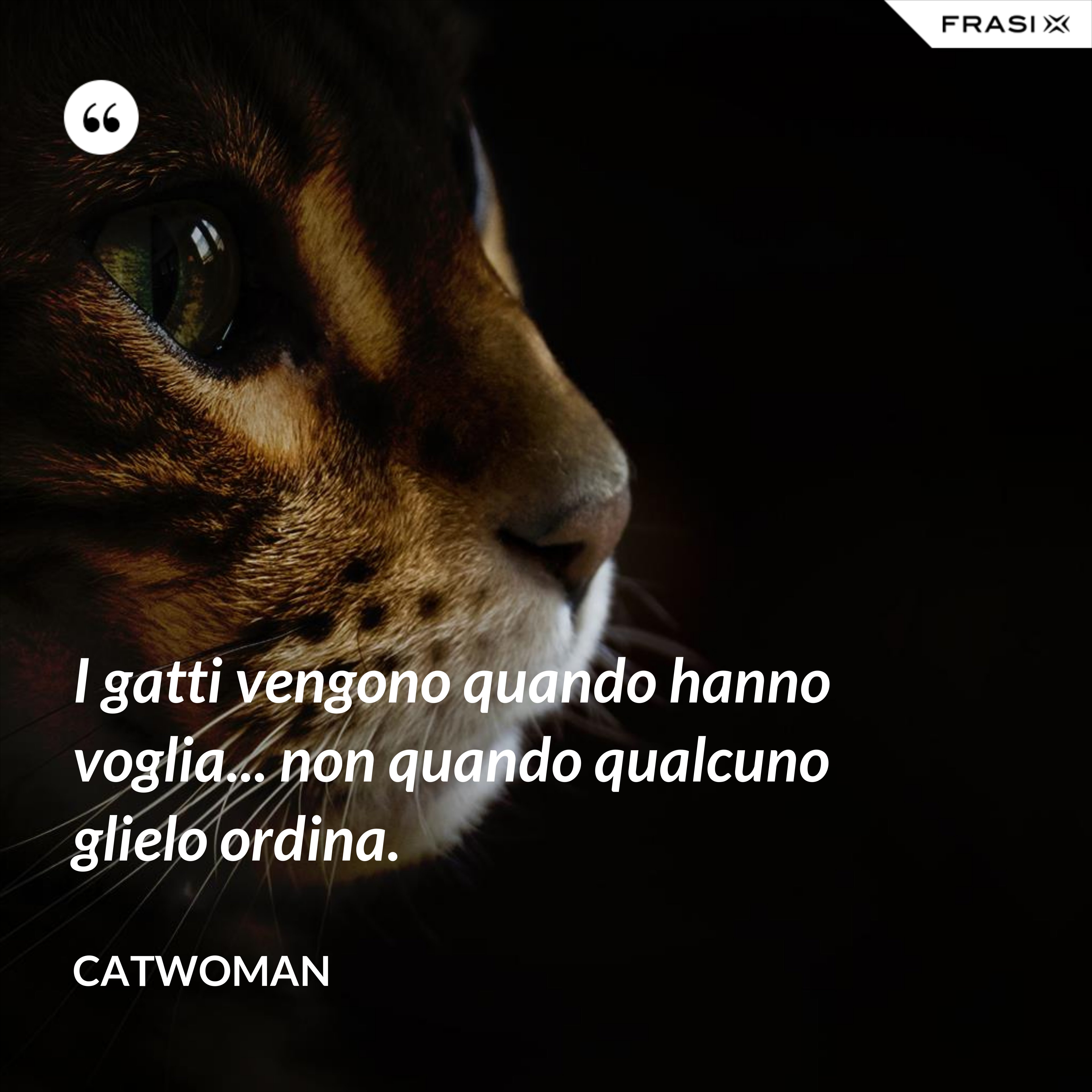 I gatti vengono quando hanno voglia... non quando qualcuno glielo ordina. - Catwoman