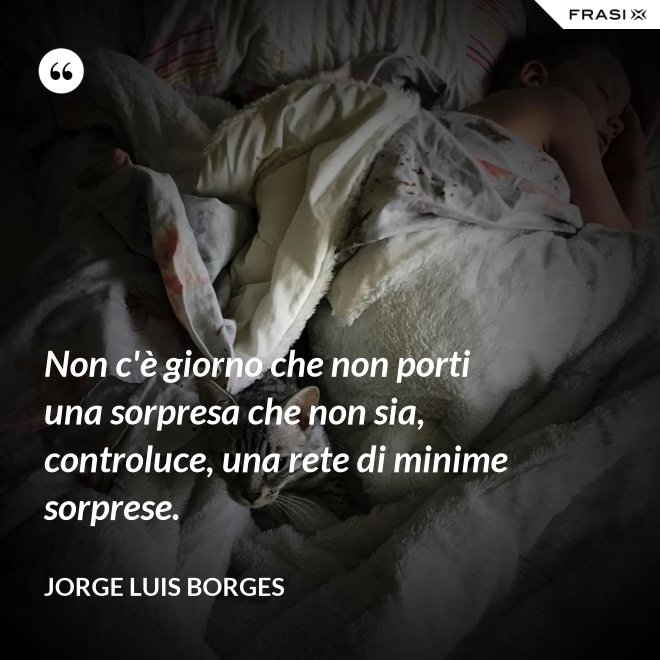 Non c'è giorno che non porti una sorpresa che non sia, controluce, una rete di minime sorprese. - Jorge Luis Borges