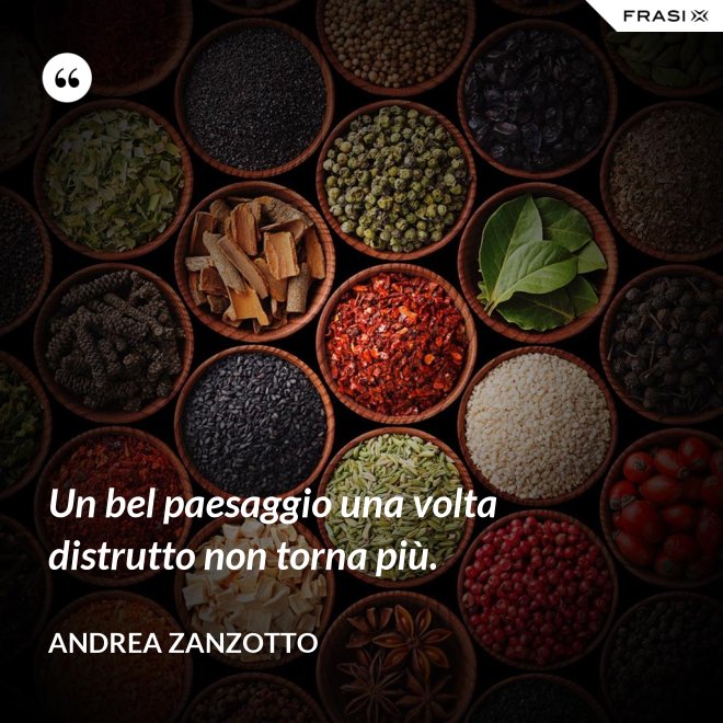 Un bel paesaggio una volta distrutto non torna più. - Andrea Zanzotto