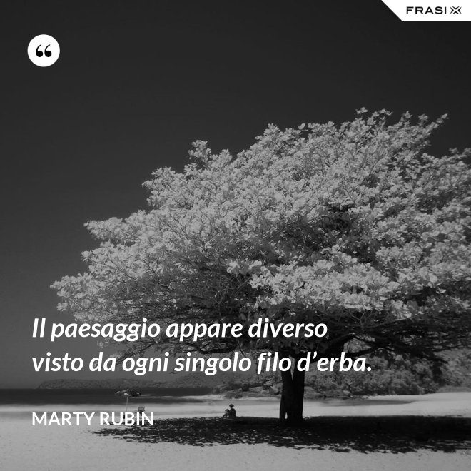 Il paesaggio appare diverso visto da ogni singolo filo d’erba. - Marty Rubin