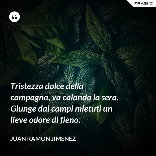 Tristezza dolce della campagna, va calando la sera. Giunge dai campi mietuti un lieve odore di fieno. - Juan Ramon Jimenez