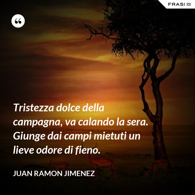 Tristezza dolce della campagna, va calando la sera. Giunge dai campi mietuti un lieve odore di fieno. - Juan Ramon Jimenez
