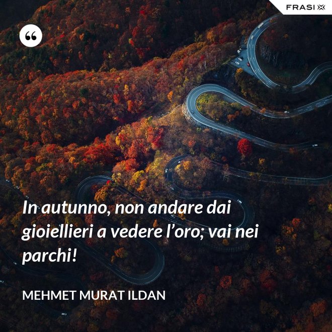 In autunno, non andare dai gioiellieri a vedere l’oro; vai nei parchi! - Mehmet Murat Ildan