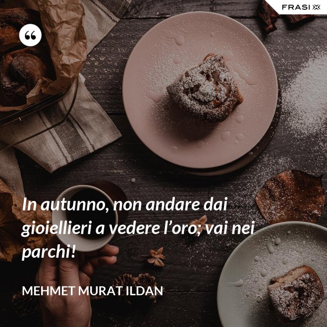 In autunno, non andare dai gioiellieri a vedere l’oro; vai nei parchi! - Mehmet Murat Ildan