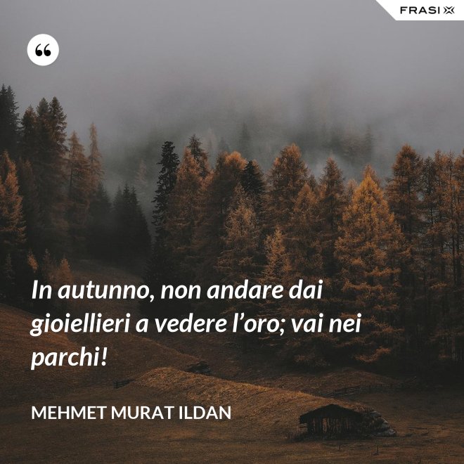 In autunno, non andare dai gioiellieri a vedere l’oro; vai nei parchi! - Mehmet Murat Ildan