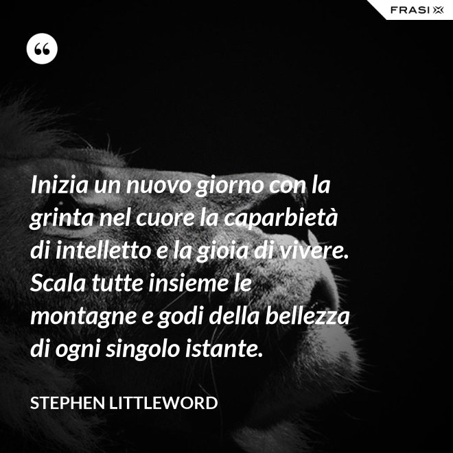 Inizia un nuovo giorno con la grinta nel cuore la caparbietà di intelletto e la gioia di vivere. Scala tutte insieme le montagne e godi della bellezza di ogni singolo istante. - Stephen Littleword