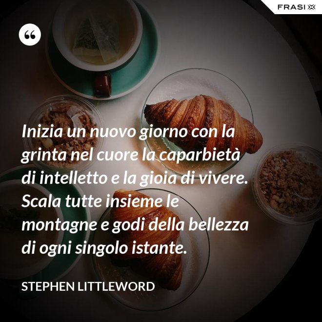 Inizia un nuovo giorno con la grinta nel cuore la caparbietà di intelletto e la gioia di vivere. Scala tutte insieme le montagne e godi della bellezza di ogni singolo istante. - Stephen Littleword