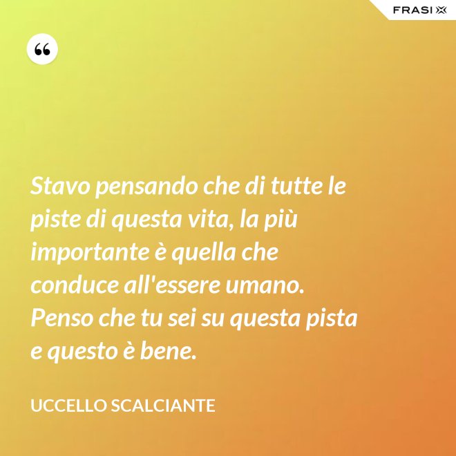 Stavo pensando che di tutte le piste di questa vita, la più importante è quella che conduce all'essere umano. Penso che tu sei su questa pista e questo è bene. - Uccello scalciante