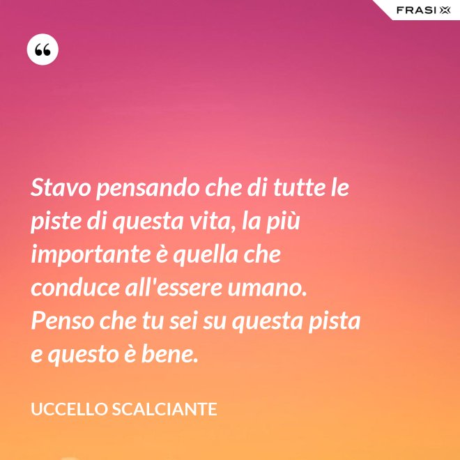 Stavo pensando che di tutte le piste di questa vita, la più importante è quella che conduce all'essere umano. Penso che tu sei su questa pista e questo è bene. - Uccello scalciante