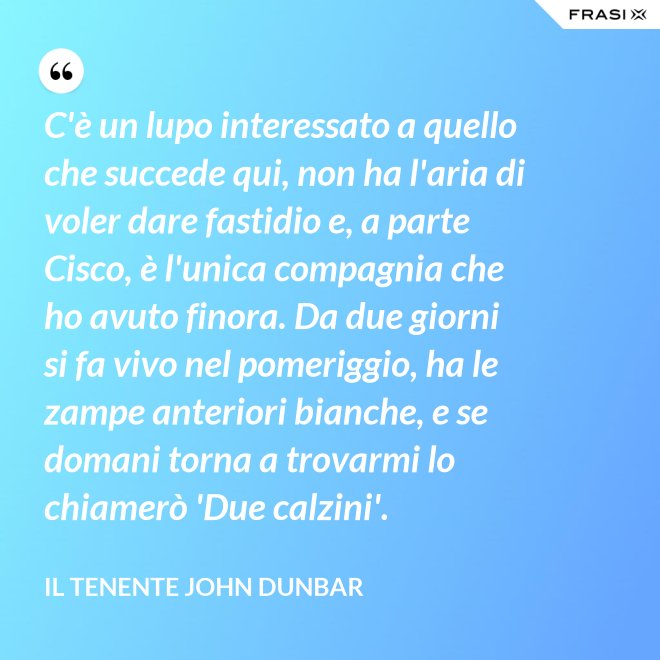 C'è un lupo interessato a quello che succede qui, non ha l'aria di voler dare fastidio e, a parte Cisco, è l'unica compagnia che ho avuto finora. Da due giorni si fa vivo nel pomeriggio, ha le zampe anteriori bianche, e se domani torna a trovarmi lo chiamerò 'Due calzini'. - Il tenente John Dunbar