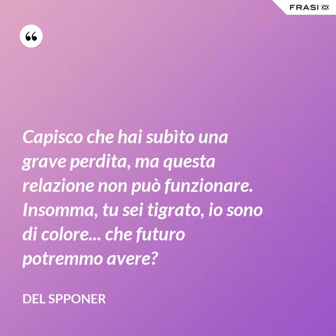 Capisco che hai subìto una grave perdita, ma questa relazione non può funzionare. Insomma, tu sei tigrato, io sono di colore... che futuro potremmo avere? - Del Spponer