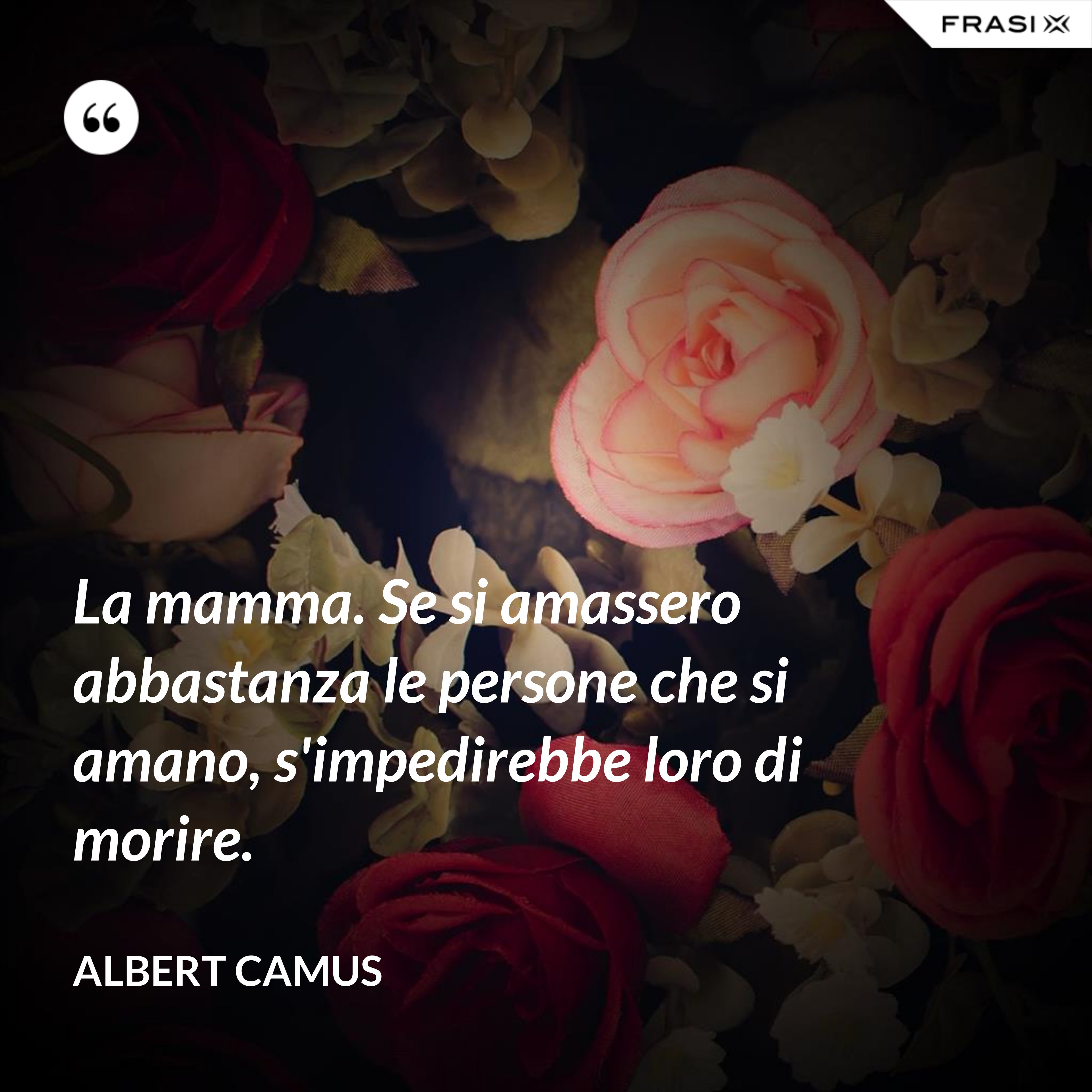 La mamma. Se si amassero abbastanza le persone che si amano, s'impedirebbe loro di morire. - Albert Camus