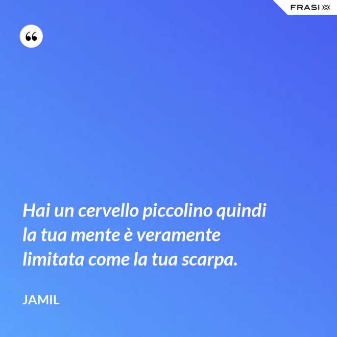 Hai un cervello piccolino quindi la tua mente è veramente limitata come la tua scarpa. - Jamil