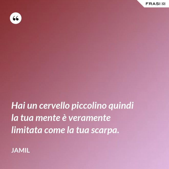 Hai un cervello piccolino quindi la tua mente è veramente limitata come la tua scarpa. - Jamil