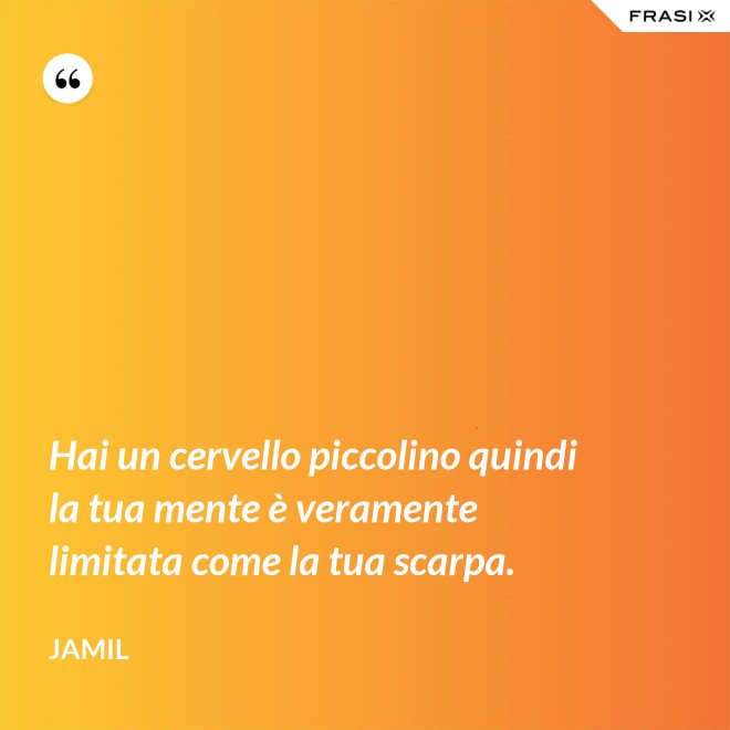 Hai un cervello piccolino quindi la tua mente è veramente limitata come la tua scarpa. - Jamil