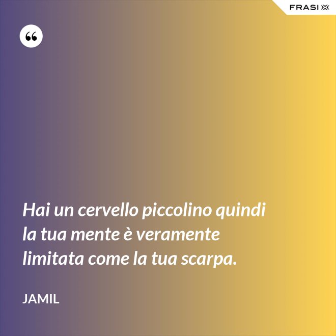Hai un cervello piccolino quindi la tua mente è veramente limitata come la tua scarpa. - Jamil