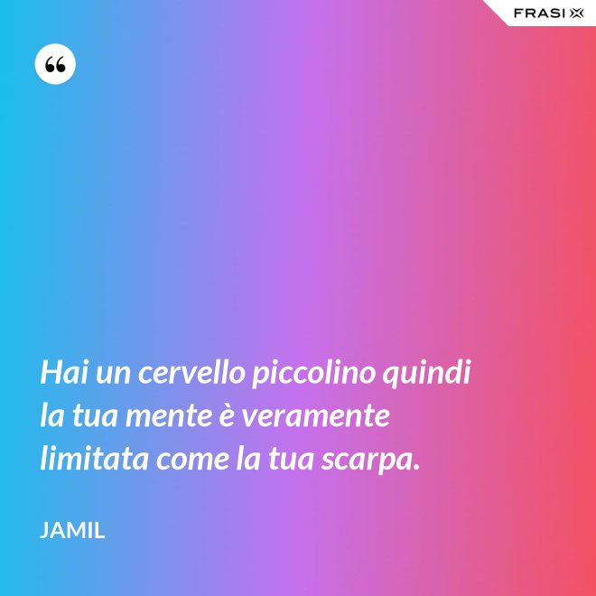 Hai un cervello piccolino quindi la tua mente è veramente limitata come la tua scarpa. - Jamil