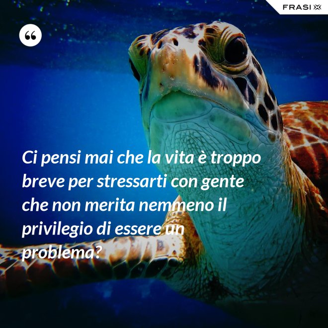 Ci pensi mai che la vita è troppo breve per stressarti con gente che non merita nemmeno il privilegio di essere un problema? - Anonimo