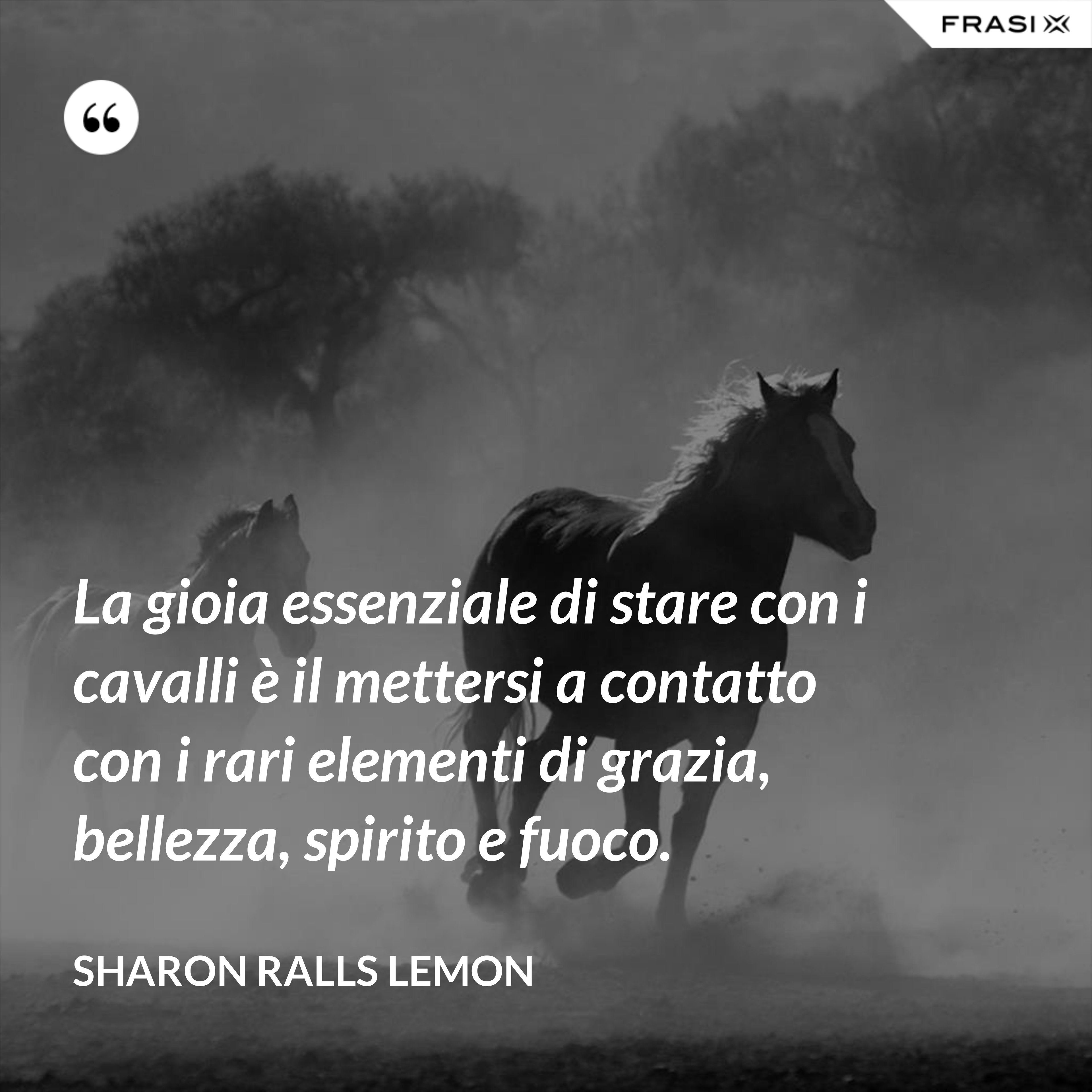 La gioia essenziale di stare con i cavalli è il mettersi a contatto con i rari elementi di grazia, bellezza, spirito e fuoco. - Sharon Ralls Lemon
